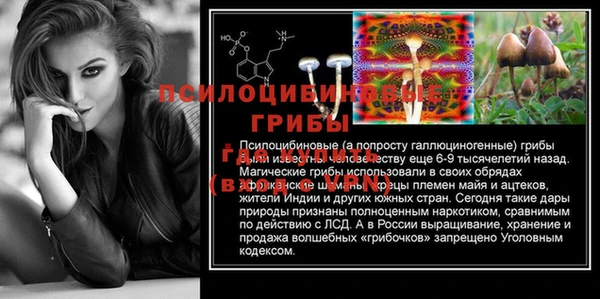 мяу мяу мука Арсеньев