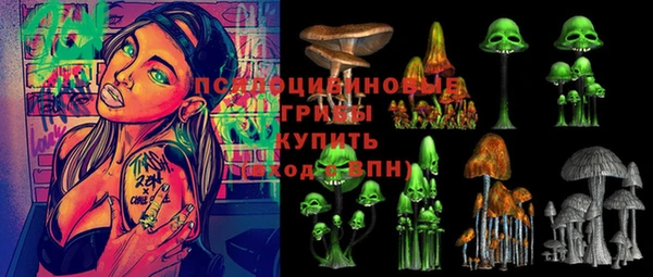 сатива Армянск