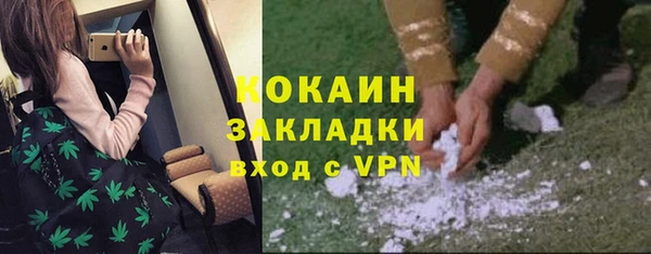 сатива Армянск