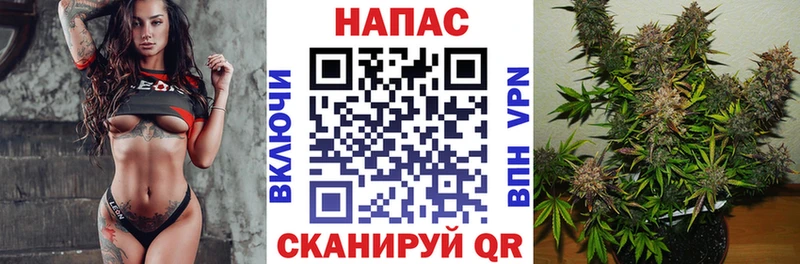 закладка  Строитель  Каннабис план 